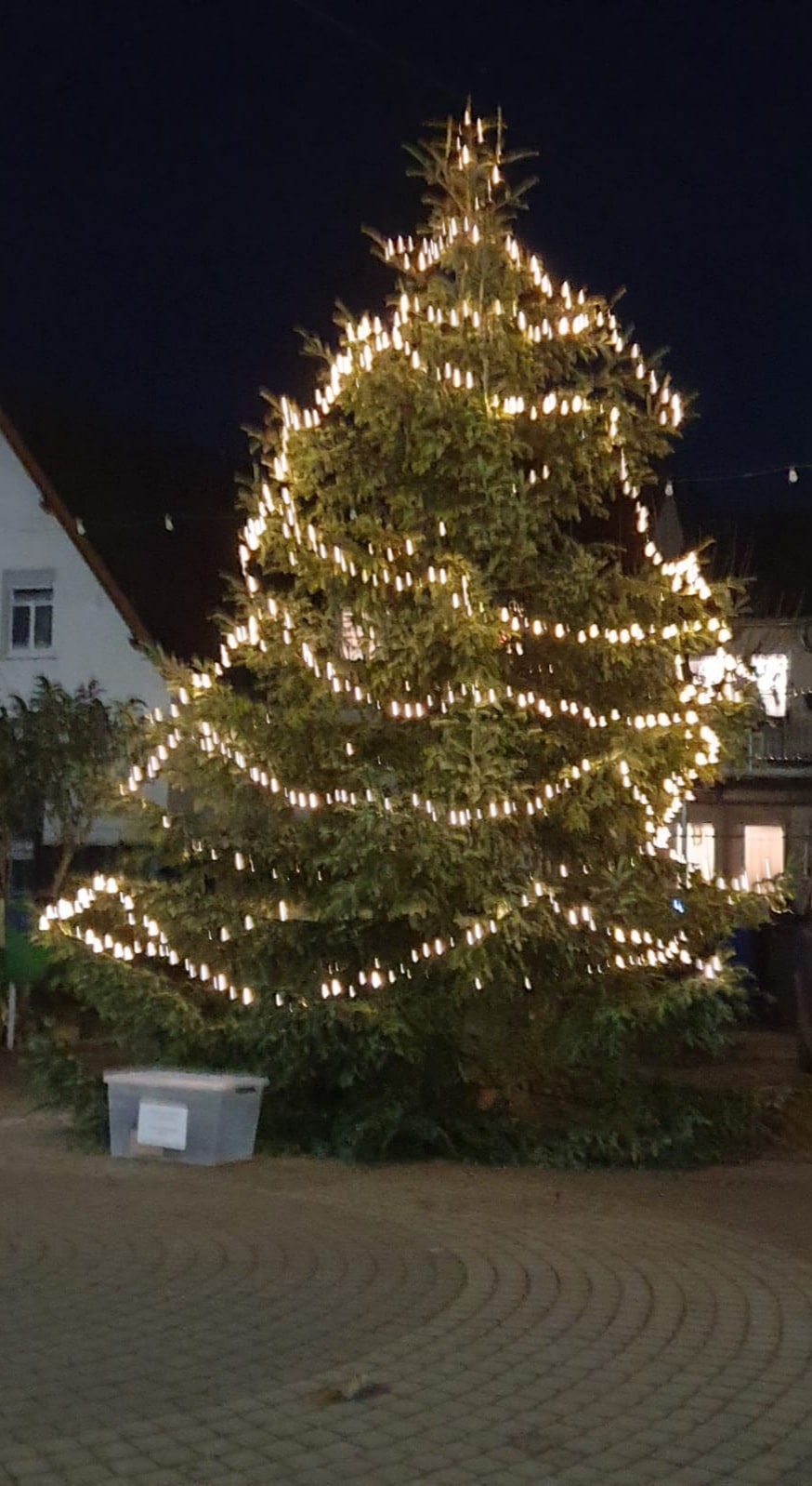 Tannenbaum_Königstuhlstraße